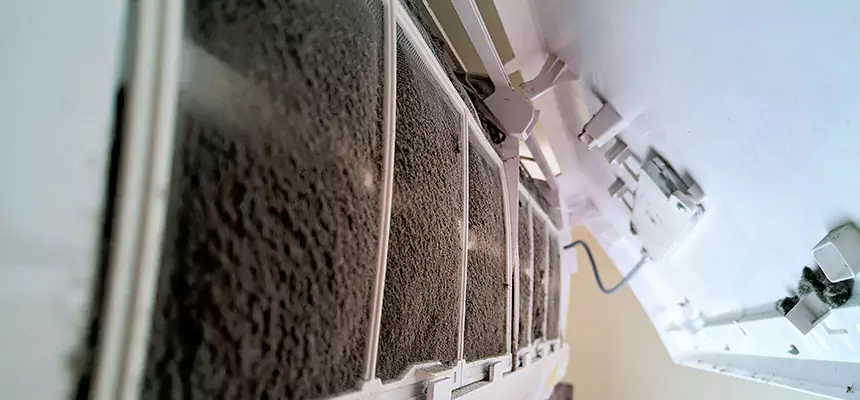 Preventive Air Duct Bacteria Removal in Beaumont