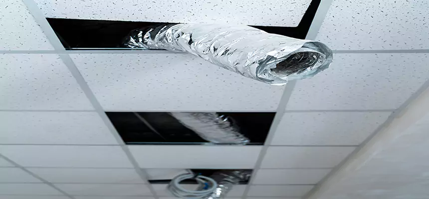 Our Air Duct Pet Hair Removal Services in Beaumont, CA