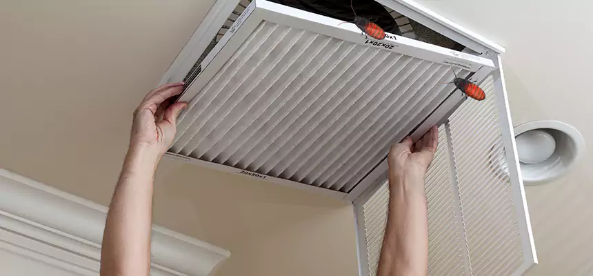 Our Insect Removal from Air Ducts Services in Beaumont, CA