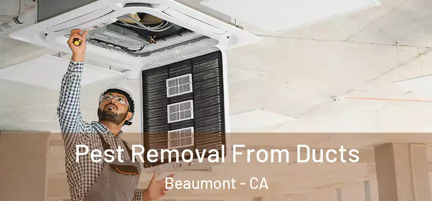  Pest Removal From Ducts Beaumont - CA