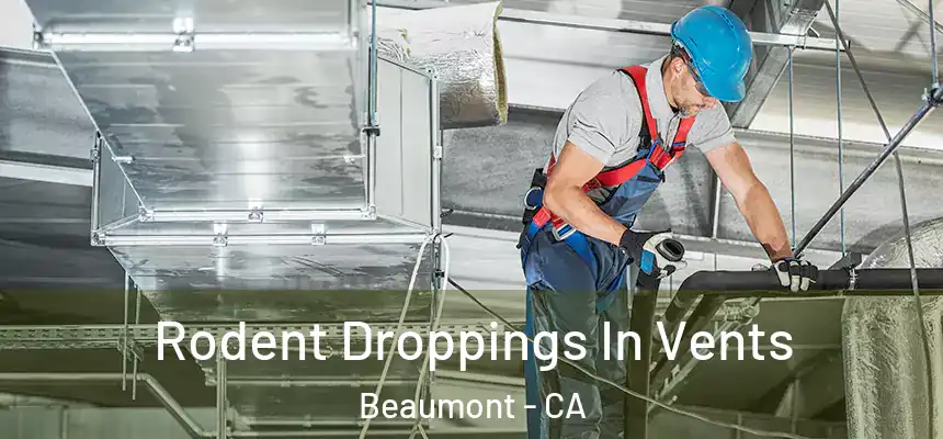  Rodent Droppings In Vents Beaumont - CA