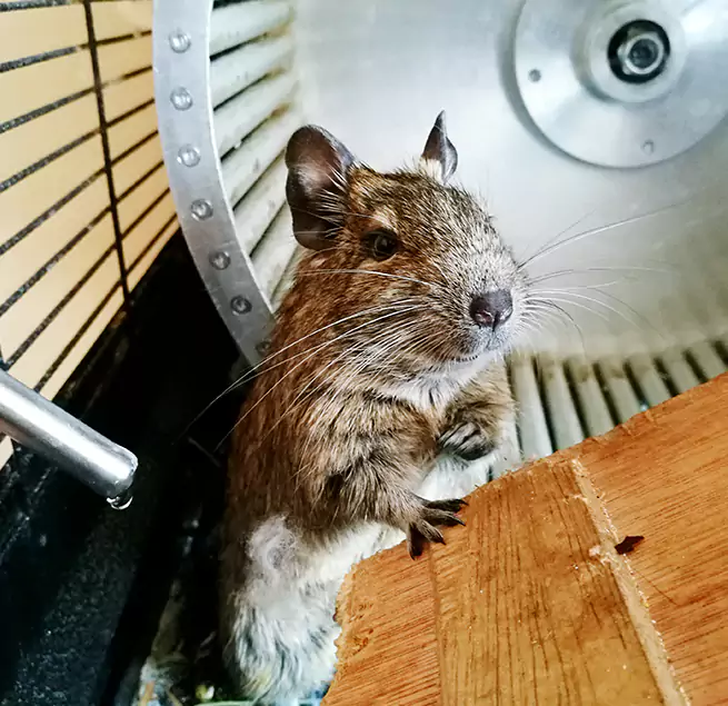 Why Homeowners & Businesses Trust Us Beaumont, CA